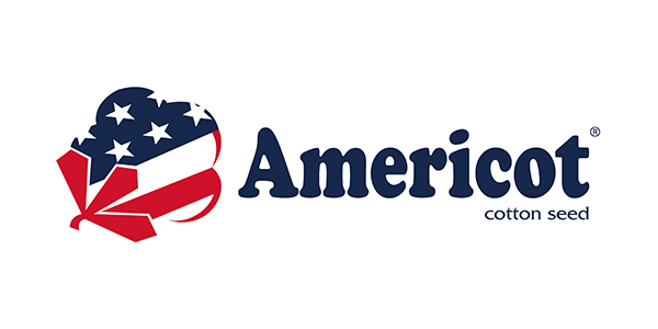 americot