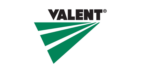 Valent